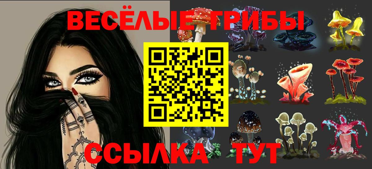 Галлюциногенные грибы Psilocybe  Вход с VPN  Ухта  Псилоцибиновые грибы Magic Shrooms 
